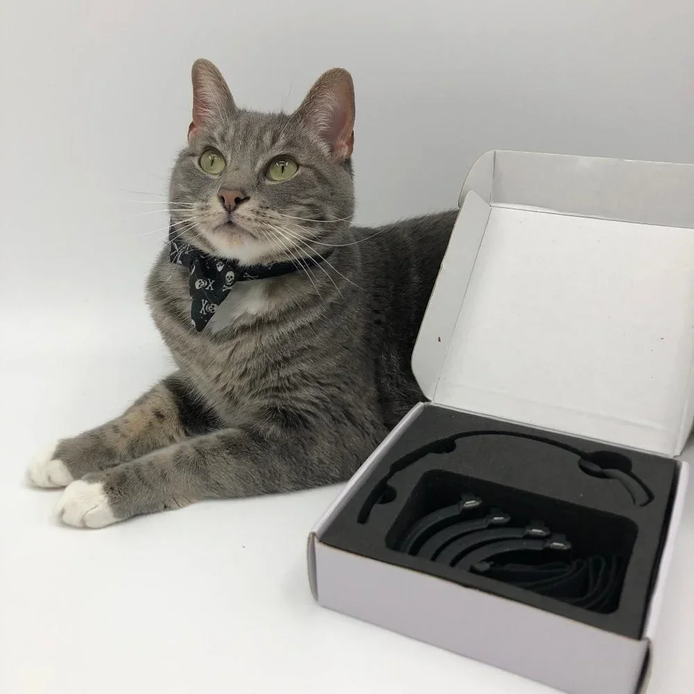 PAWTRACK GPS CAT TRACKING ADJUSTABLE USB COLLAR, New in box